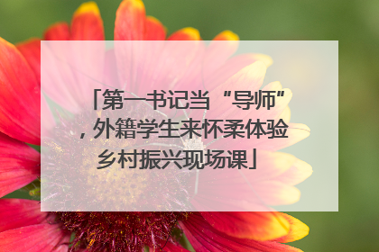 第一书记当“导师”，外籍学生来怀柔体验乡村振兴现场课