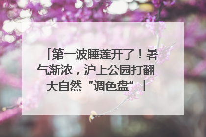 第一波睡莲开了！暑气渐浓，沪上公园打翻大自然“调色盘”