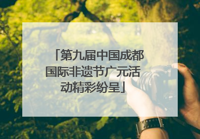 第九届中国成都国际非遗节广元活动精彩纷呈