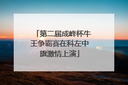 第二届成峰杯牛王争霸赛在科左中旗激情上演