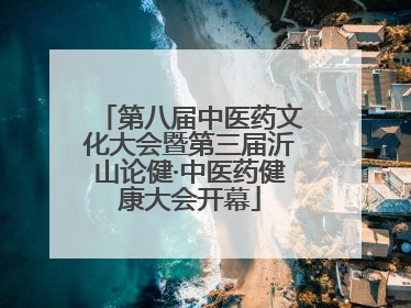 第八届中医药文化大会暨第三届沂山论健·中医药健康大会开幕