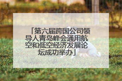 第六届跨国公司领导人青岛峰会通用航空和低空经济发展论坛成功举办