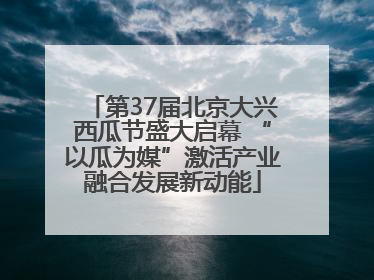 第37届北京大兴西瓜节盛大启幕 “以瓜为媒”激活产业融合发展新动能