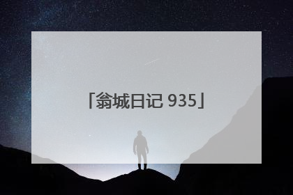 翁城日记 935