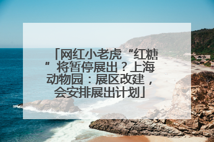 网红小老虎“红糖”将暂停展出？上海动物园：展区改建，会安排展出计划
