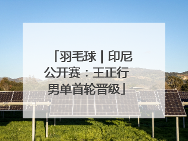 羽毛球｜印尼公开赛：王正行男单首轮晋级