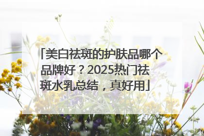 美白祛斑的护肤品哪个品牌好？2025热门祛斑水乳总结，真好用