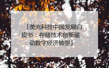 美光科技中国发展白皮书：存储技术创新驱动数字经济转型
