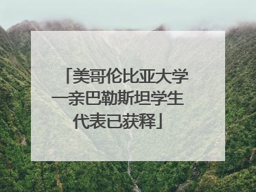 美哥伦比亚大学一亲巴勒斯坦学生代表已获释