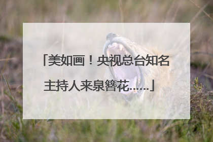 美如画！央视总台知名主持人来泉簪花……