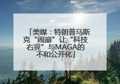 美媒：特朗普马斯克“闹崩”让“科技右翼”与MAGA的不和公开化