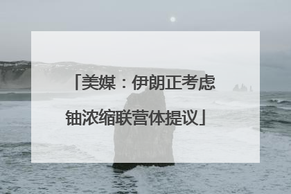 美媒：伊朗正考虑铀浓缩联营体提议