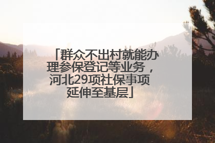 群众不出村就能办理参保登记等业务，河北29项社保事项延伸至基层
