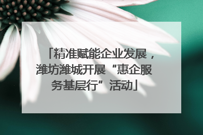 精准赋能企业发展，潍坊潍城开展“惠企服务基层行”活动