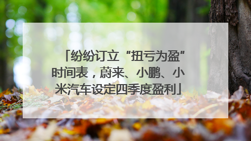 纷纷订立“扭亏为盈”时间表，蔚来、小鹏、小米汽车设定四季度盈利