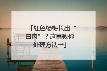 红色杨梅长出“白肉”？这里教你处理方法→