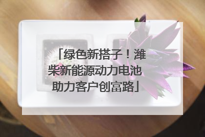 绿色新搭子！潍柴新能源动力电池助力客户创富路