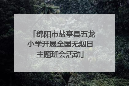 绵阳市盐亭县五龙小学开展全国无烟日主题班会活动