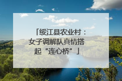 绥江县农业村：女子调解队真情搭起“连心桥”