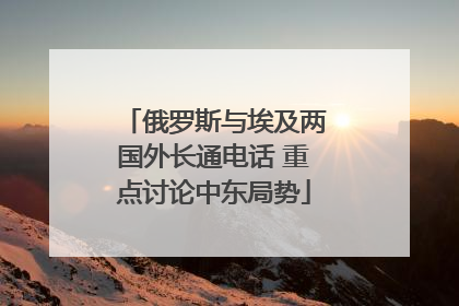 俄罗斯与埃及两国外长通电话 重点讨论中东局势