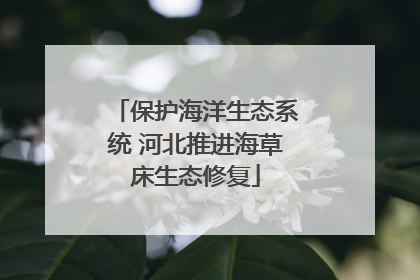 保护海洋生态系统 河北推进海草床生态修复