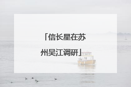 信长星在苏州吴江调研