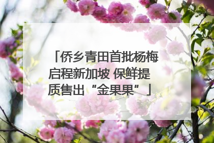 侨乡青田首批杨梅启程新加坡 保鲜提质售出“金果果”