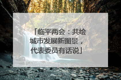 临平两会：共绘城市发展新图景，代表委员有话说