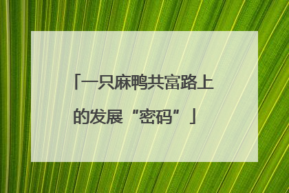 一只麻鸭共富路上的发展“密码”