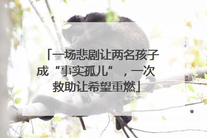 一场悲剧让两名孩子成“事实孤儿”，一次救助让希望重燃