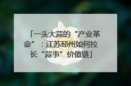 一头大蒜的“产业革命”：江苏邳州如何拉长“蒜事”价值链