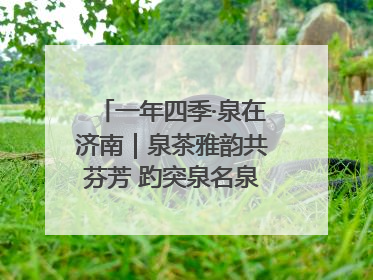 一年四季·泉在济南｜泉茶雅韵共芬芳 趵突泉名泉茗茶品鉴会举行