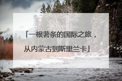 一根薯条的国际之旅，从内蒙古到斯里兰卡