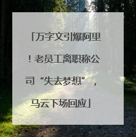 万字文引爆阿里！老员工离职称公司“失去梦想”，马云下场回应