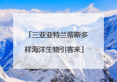 三亚亚特兰蒂斯多样海洋生物引客来