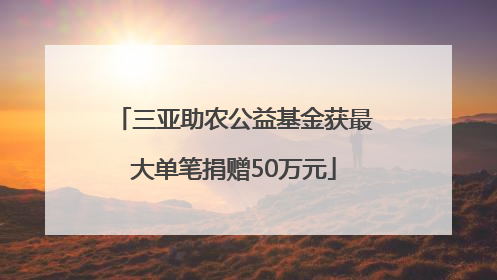 三亚助农公益基金获最大单笔捐赠50万元