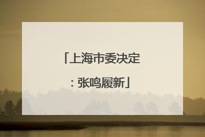 上海市委决定：张鸣履新