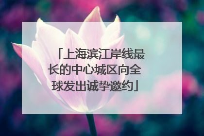 上海滨江岸线最长的中心城区向全球发出诚挚邀约