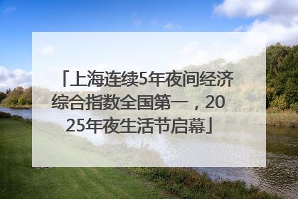 上海连续5年夜间经济综合指数全国第一，2025年夜生活节启幕