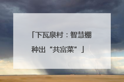 下瓦泉村：智慧棚种出“共富菜”