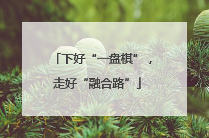 下好“一盘棋”，走好“融合路”