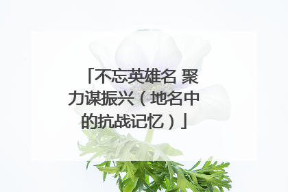 不忘英雄名 聚力谋振兴（地名中的抗战记忆）