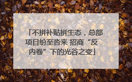 不拼补贴拼生态，总部项目纷至沓来 招商“反内卷”下的光谷之变