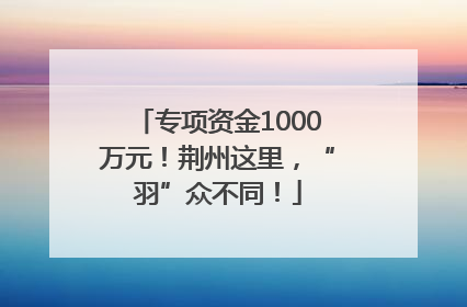 专项资金1000万元！荆州这里，“羽”众不同！