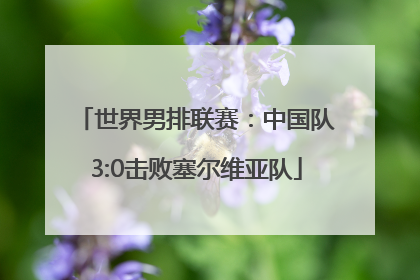 世界男排联赛：中国队3:0击败塞尔维亚队