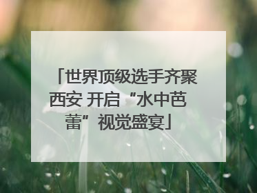 世界顶级选手齐聚西安 开启“水中芭蕾”视觉盛宴