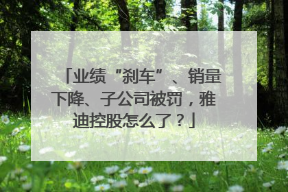 业绩“刹车”、销量下降、子公司被罚，雅迪控股怎么了？