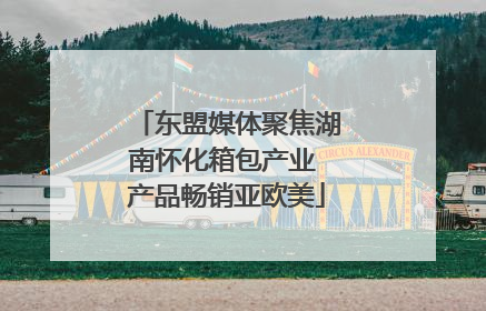 东盟媒体聚焦湖南怀化箱包产业 产品畅销亚欧美