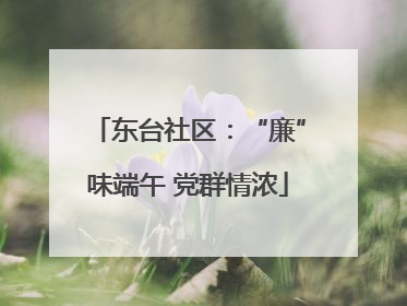 东台社区：“廉”味端午 党群情浓