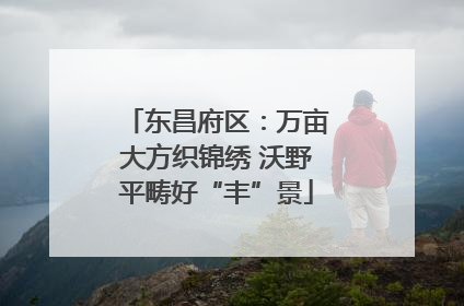 东昌府区：万亩大方织锦绣 沃野平畴好“丰”景